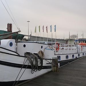 Anna Maria II
